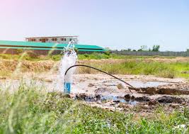 Foraje puțuri profesionale Balan Marius